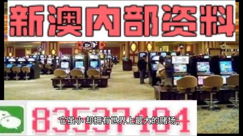 2024新澳门正版免费资本｜效率解答解释落实