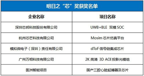 2025新澳开奖结果+开奖记录：未来财富流向分析指南