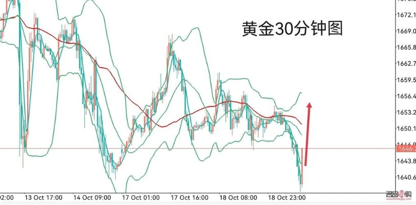 今日大张金价最新动态及未来市场展望