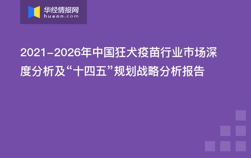 狂犬疫苗，守护生命的坚固防线，深度解析百度指南