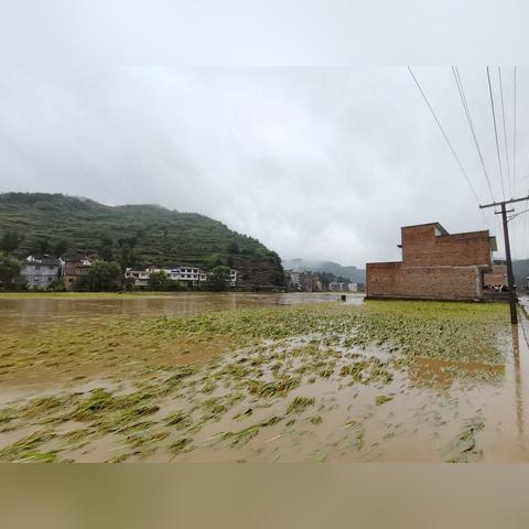 古蔺今日暴雨最新资讯实时查询