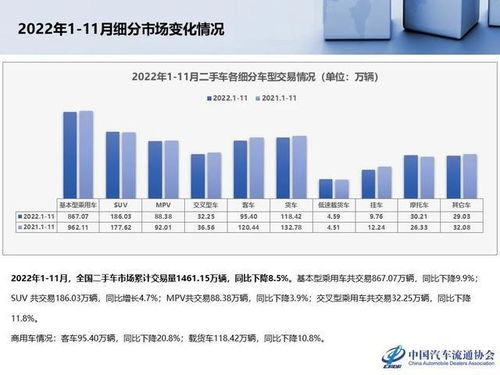 2023国际形势与变革深度剖析全球瞩目