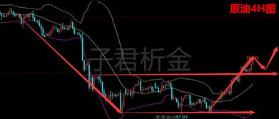 桉树今日行情走势深度剖析