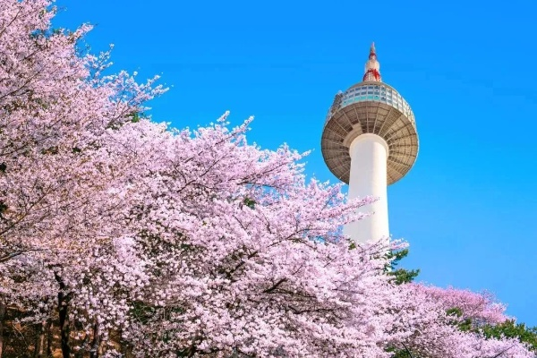 韩国旅游拼贴攻略，探索这个美丽的国度