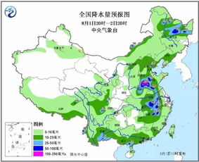 大足暴雨实时更新，最新天气状况及影响分析