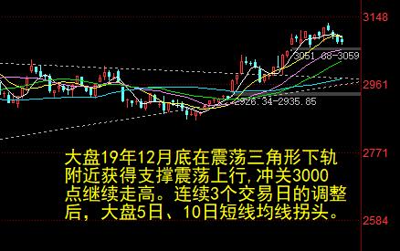 鲜枣价格行情更新，市场走势及影响因素深度解析