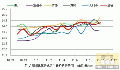 湖北仙桃今日猪价走势揭秘，最新动态与分析报告