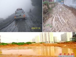 安阳今日雨水更新，滋润大地的实时纪实报道