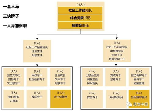 深圳小区最新动态，探索社区生活之美