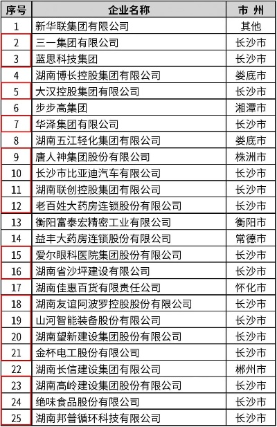 湖南品牌系统公司排名及影响力全面解析