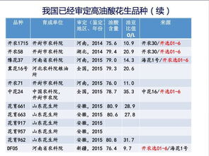 郑州MNC公司行业排名大揭秘，探寻行业领军者的成功奥秘！