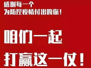 桐梓疫情最新数据更新，坚定信心，携手共克时艰