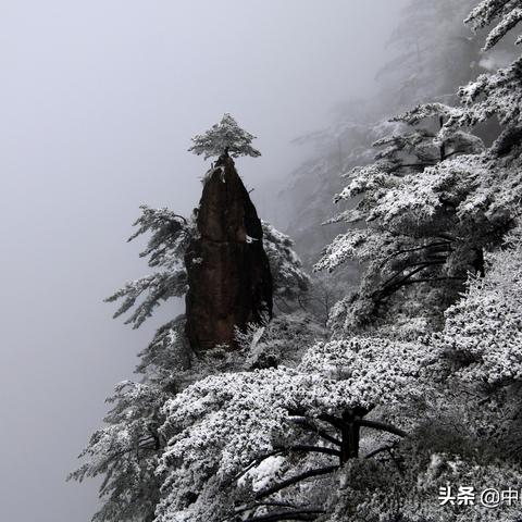 探索黄山仙境的绝美风光，图片展现壮丽景色，美不胜收