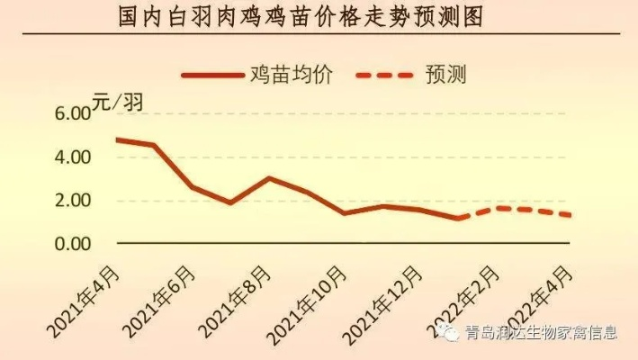 山东肉鸡今日行情走势与最新价格分析