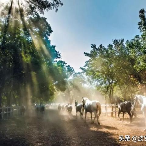 巴尔干深度游攻略，探寻历史与自然魅力的绝佳之旅！