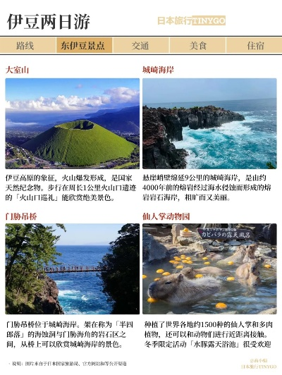 伊豆岛绝美旅游攻略，探索伊豆之旅，领略无尽风光！