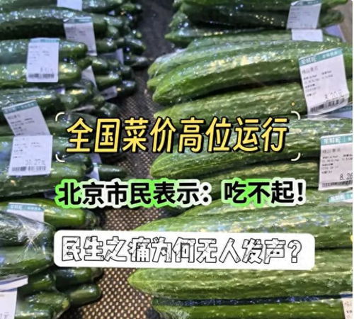 武平菜价最新动态，关注民生所需，洞悉菜价变化！