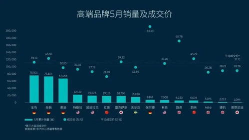 香港十大连锁品牌揭秘，繁荣背后的商业秘密榜单揭晓！