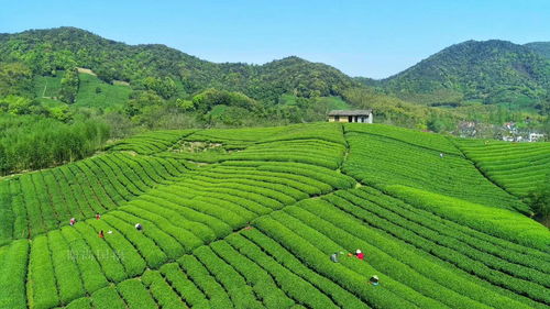 大围山团建攻略，打造独特团队建设之旅！