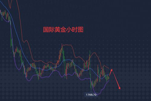 今日情役揭秘，最新动态解析与趋势预测