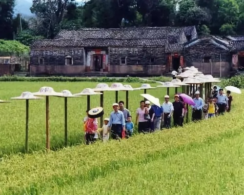 逐步村探秘，独家旅游攻略，感受别样乡村风情体验