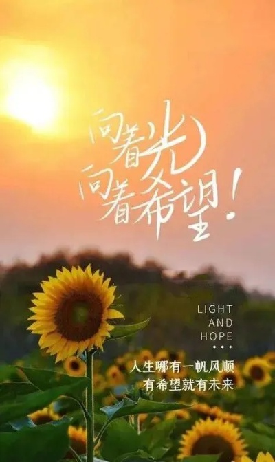 新年励志鸡汤语录短句，迎接美好每一天的希望之光