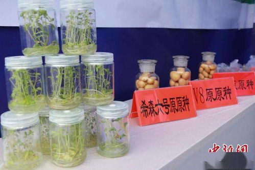 香精过滤袋研发公司排行榜及行业影响力解析