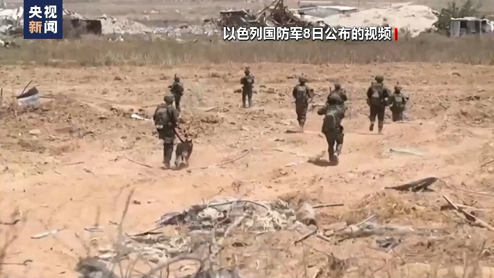 加沙地带局势更新，冲突、人道危机引发全球关注