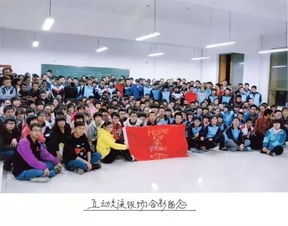 濮东县最新新闻聚焦县域发展，正能量传递不停歇