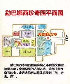深圳至芒市旅行秘籍，最新旅游攻略指南