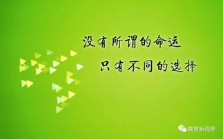 高考王者背后的励志故事，励志语录与满分背后的奋斗历程