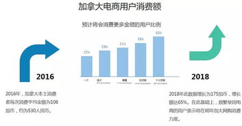 加拿大电商巨头揭秘，电子商贸公司排名及行业佼佼者探索