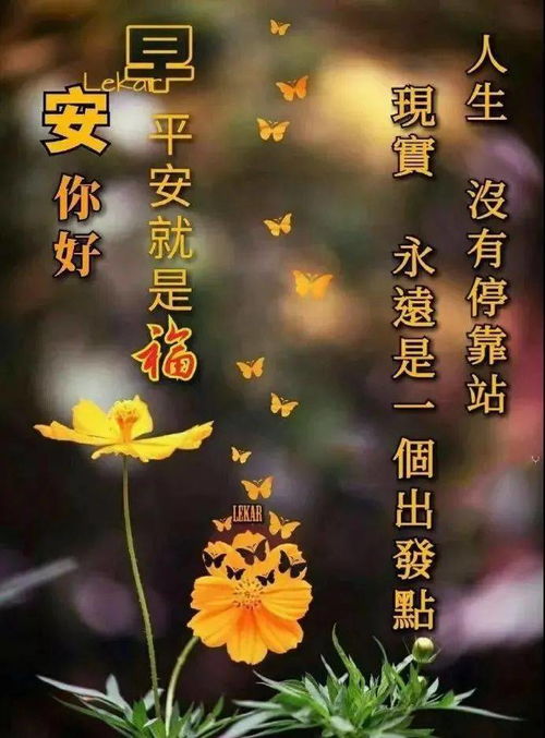 今日独家早安问候，高情商魅力唤醒美好一天，开启愉悦人生之旅