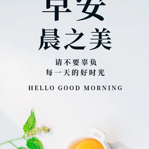 唯美励志语录短句美图分享