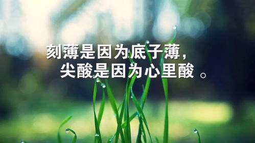 励志早安，简短情感语录，唤醒你的正能量！