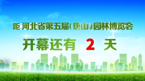 河北公交免费政策揭秘，周四是否免费出行最新消息全知道