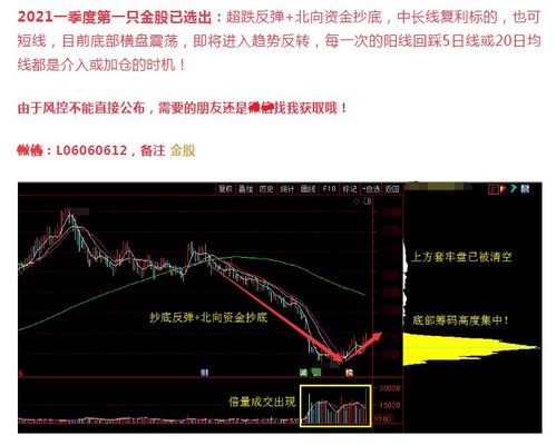 茅族股票最新动态，市场走势深度分析与展望