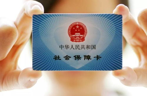 百度社保卡号查询攻略，轻松查找，数字生活必备小技巧！