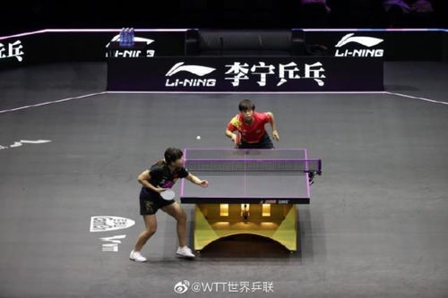 全球聚焦！2022世界女乒排名大揭秘，顶尖选手竞争格局与未来展望