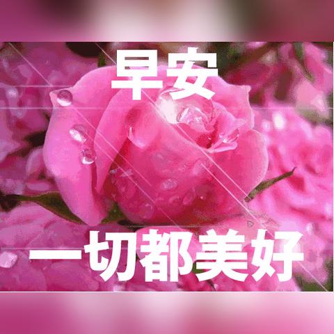 百度温暖送上的早安问候——每日一句早安语，开启美好一天！