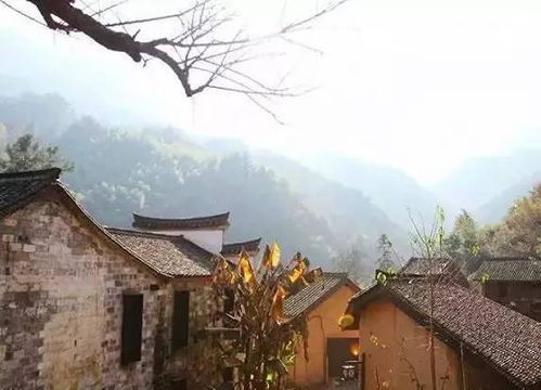 宝鸡山村探秘，自然韵味与乡村之美的极致体验攻略