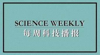 黄岛最新新闻动态今日播报
