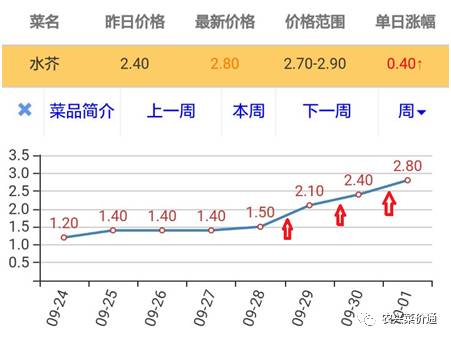 今日白叶子价格大揭秘，市场走势、购买指南一网打尽！