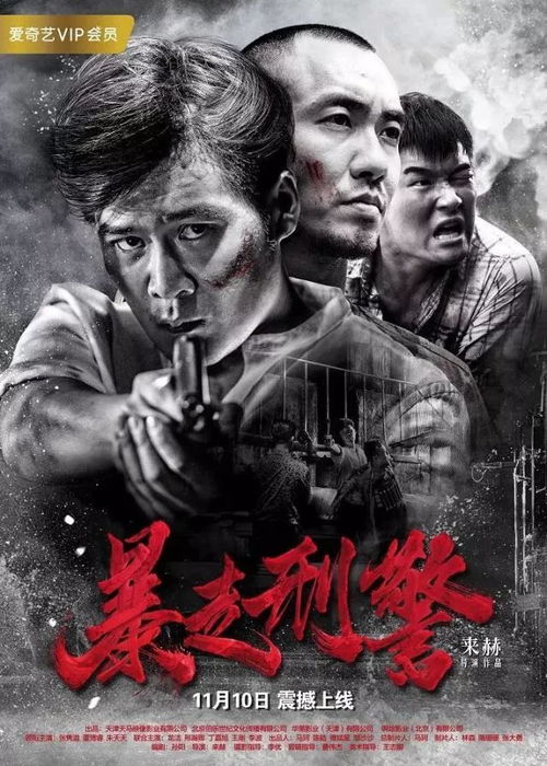 泗水刑警揭秘真相，正义力量再现破案实录视频！