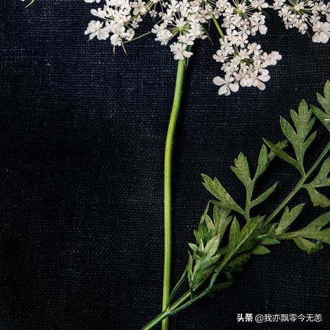 今日破浪科技动态，引领未来行业洞察揭秘！