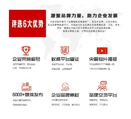 网站代理公司排名大揭秘，行业内幕一网打尽，助力企业智选优质合作伙伴