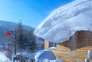 芬兰大雪纷飞下的城市与出行实时更新资讯