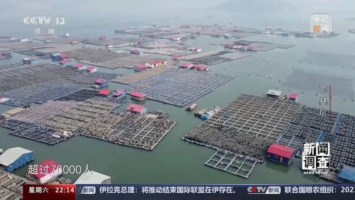 霞浦新闻速递，今日头条最新报道