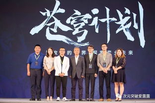 大唐盛典婚庆公司行业排名揭晓，荣誉榜单上的翘楚之选！