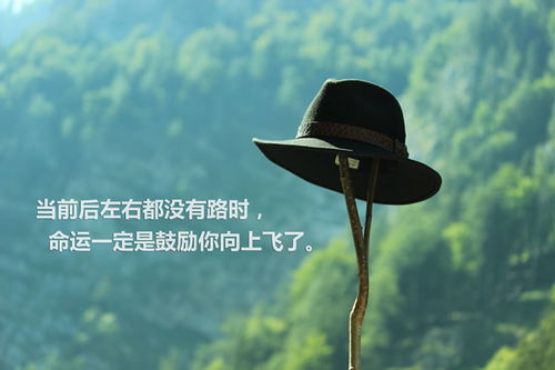励志箴言与亲情力量，奋斗人生的永恒启示
